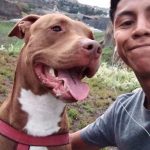 Mi perro Cronos